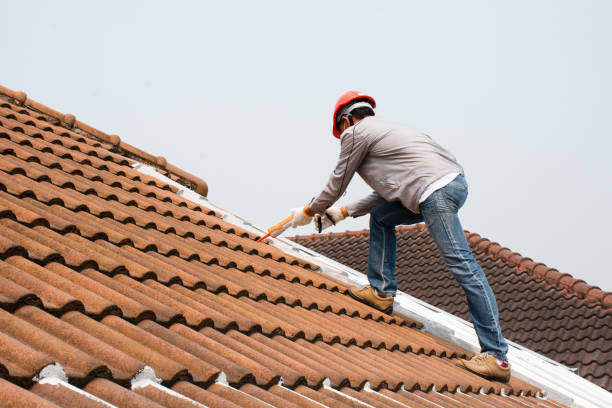 Best Metal Roofing Installation  in New Market, VA