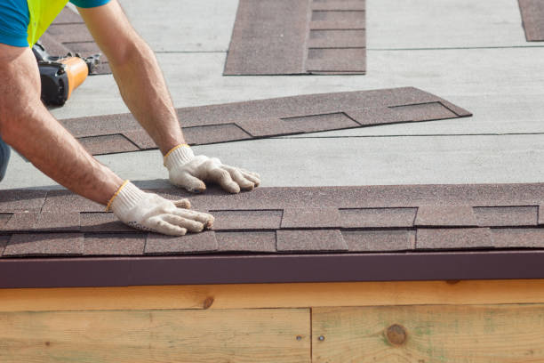 Best Gutter Installation and Repair  in New Market, VA